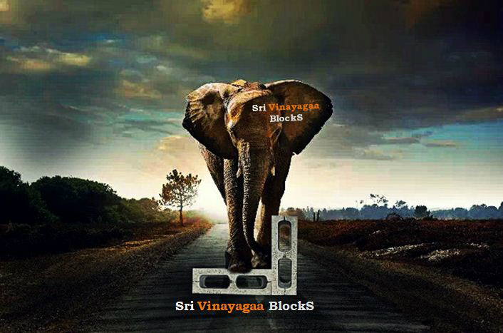 INDIAlife